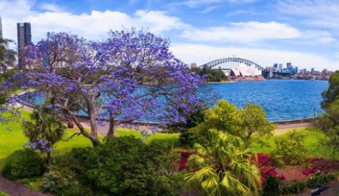 The Best Things to Do In Sydney – Escapades in the Land Down Under