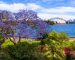 The Best Things to Do In Sydney – Escapades in the Land Down Under